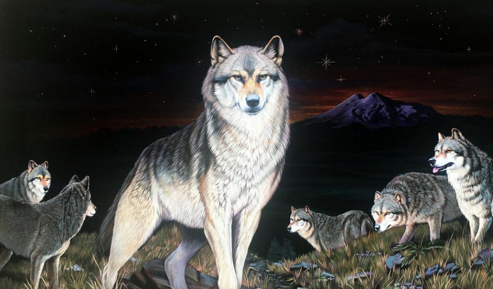 Стая волков и три охотника - притча о дружбе