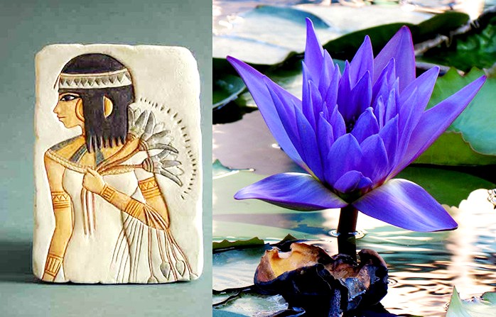 Секрет Голубого лотоса: божественный цветок Древнего Египта